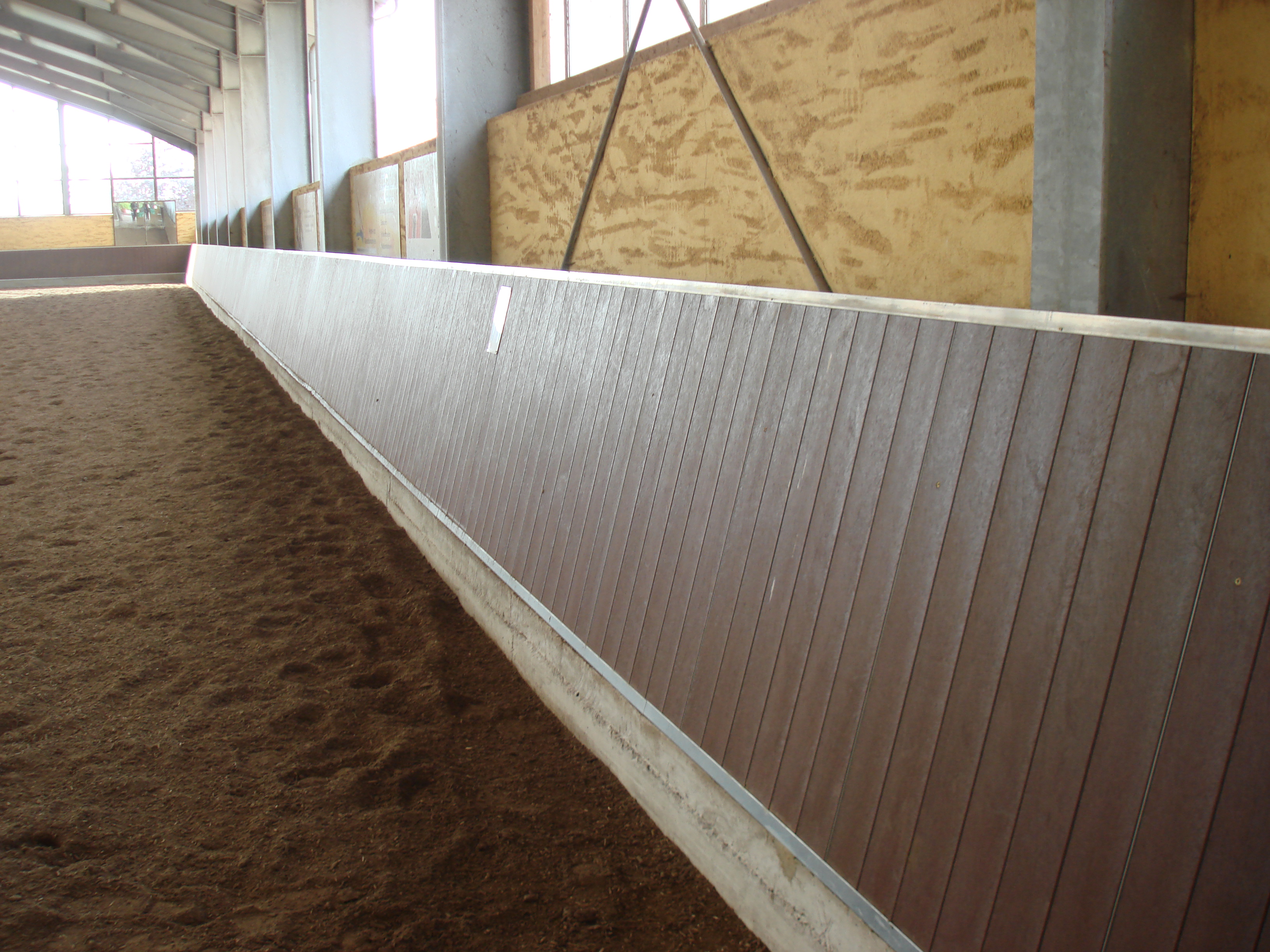 KroKus Reithallenbande in Canyon Brouwn (Rotbraun), Gestüt Berghof, Bingen/Rh.