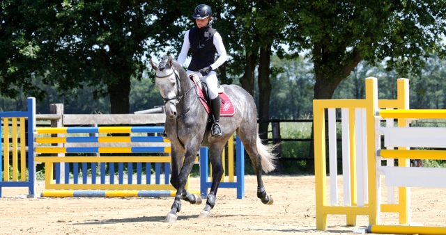 NEU - Hindernisse von KroKus