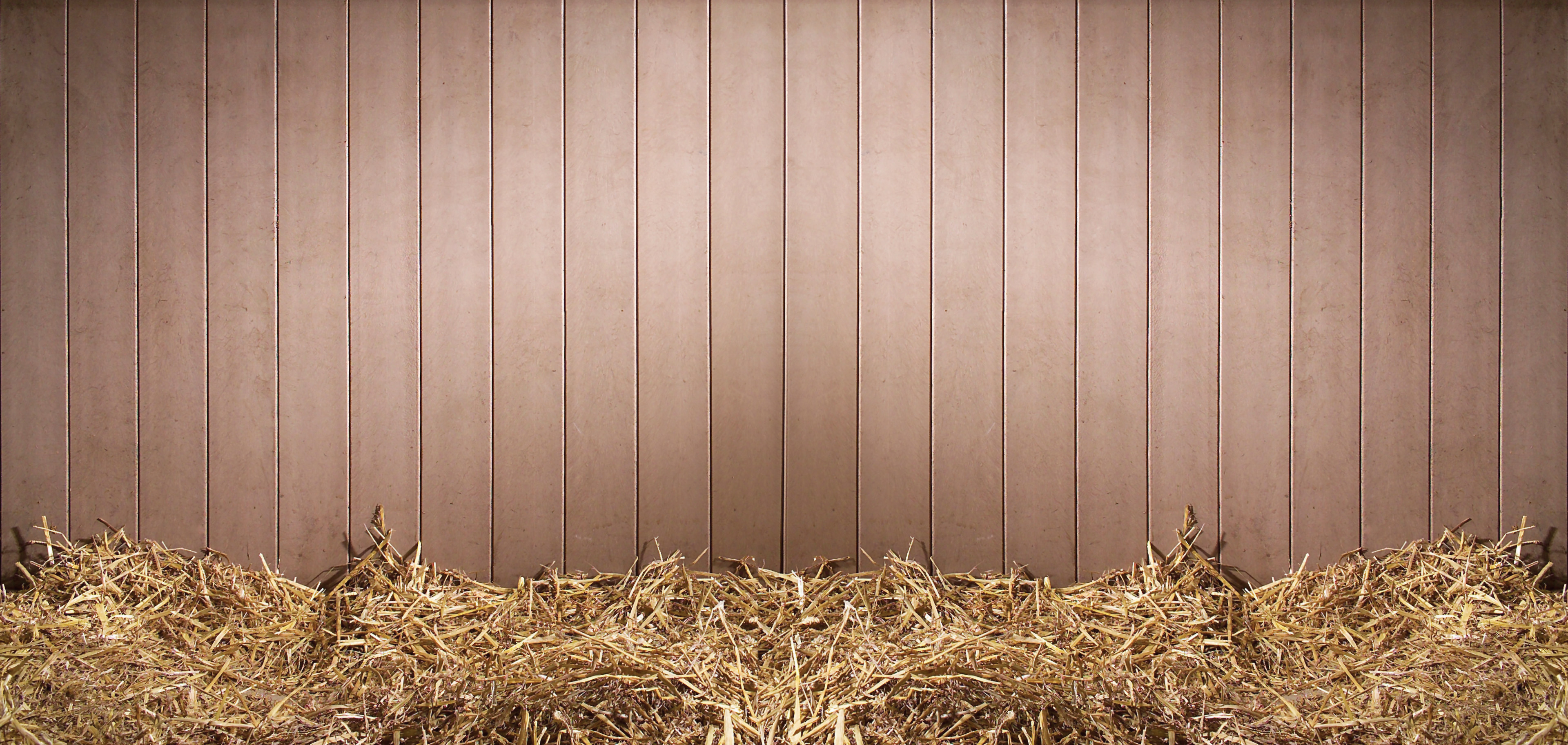 Farbe Sand Beige (Beige) - dunkelt nicht nach!